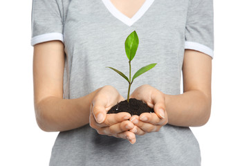 Woman holding soil with green plant in hands on white background