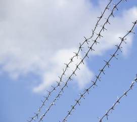 a fence of barbed wire. barbed wire on blue sky background