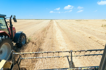 Obraz premium Harvester performing mowing tasks in the field.