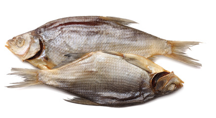 dried fish isolated on white background. Beer brewery concept. Beer background