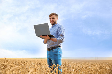 Naklejka na ściany i meble Young agronomist with laptop in grain field. Cereal farming