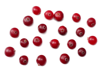Cranberry isolated on white. With clipping path. Full depth of field. top view