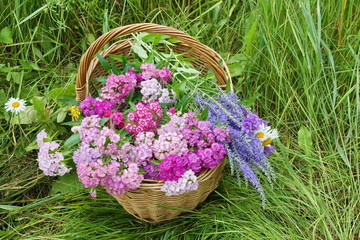 the basket of flowers carnations daisies bluebells on the grass green background. wicker basket white red pink blue flowers.