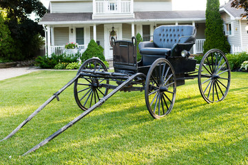 Horse-drawn on the green lawn near the house