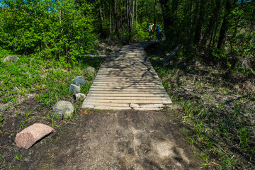 wooden footpath boardwalk in the bog swamp area