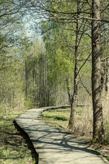 wooden footpath in the bog - vertical, mobile device ready image