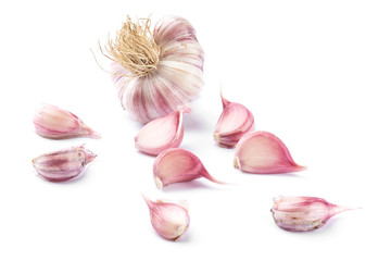 Garlic
