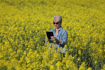 Female agronomist or farmer examining blossoming canola field using tablet, rapeseed plant in early spring
