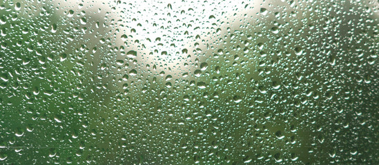 Rain drops on the window