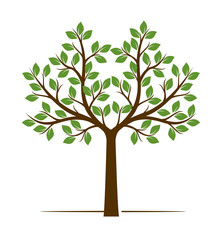 Color shape of Tree. Vector Illustration.
