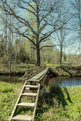 wooden footpath in the bog - vertical, mobile device ready image