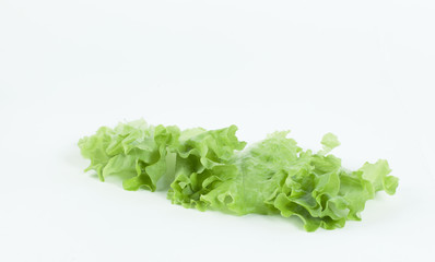Salad leaf. Lettuce isolated on white background.