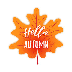 Hello autumn on maple leaf background. Vector autumn season banner. Greeting card with welcome inscription.