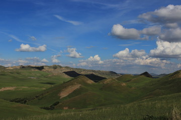 Green desert in georgia