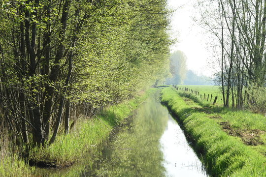 beek en bosrand met uitbottende bomen in het voorjaar en weiland met afrastering 