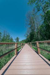 Fototapeta premium wooden footpath in the bog - vertical, mobile device ready image