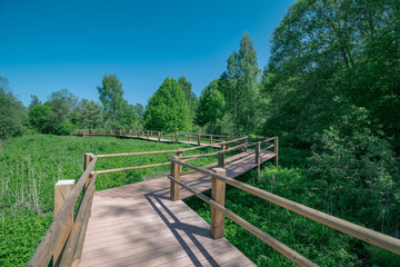 Fototapeta premium wooden footpath boardwalk in the bog swamp area