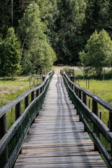 wooden footpath in the bog - vertical, mobile device ready image