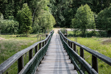 Fototapeta na wymiar wooden footpath boardwalk in the bog swamp area