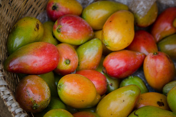 Fruits (mangoes) from Madagascar (Nosy Be)