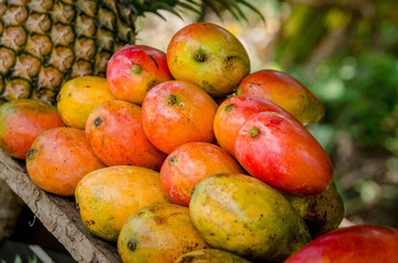 Madagascar fruits from Nosy Be