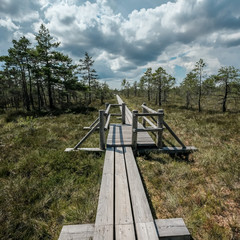 Fototapeta na wymiar wooden footpath in the bog - vertical, mobile device ready image