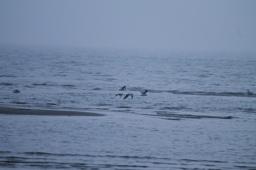 Fototapeta premium Holiday