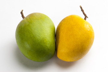 Raw and ripe mango isolated on white background