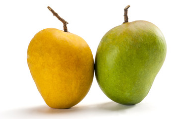 Raw and ripe mango isolated on white background