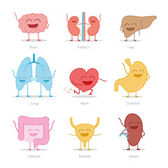 Set of 9 human organs in cartoon style: brain, kidneys, liver, lungs, heart, stomach, intestine, bladder and spleen. - obrazy, fototapety, plakaty