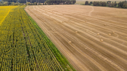 Aerial view ,Wheat field with straw bales after harvest. Sunflower crop. Small country side town landscape