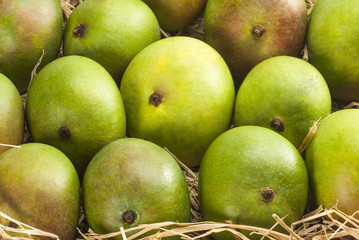 Raw mangoes on dry grass 