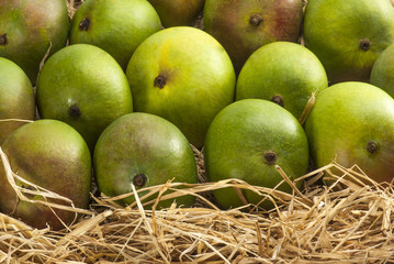 Raw mangoes on dry grass 