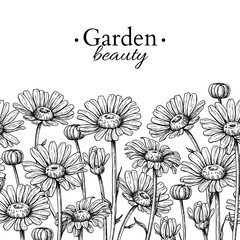 Daisy flower border drawing. Vector hand drawn engraved floral seamless pattern. Chamomile black