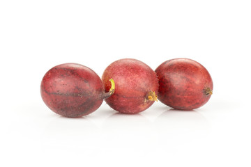 Group of three whole fresh red gooseberry hinnomaki variety ripe isolated on white