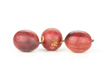 Group of three whole fresh red gooseberry hinnomaki variety isolated on white