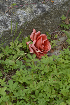 rote kunstrose an bordstein