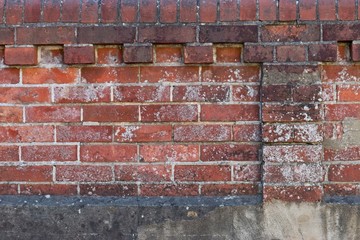 Red brick wall with lihen and satins