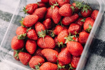 freshly picked strawberries on a wooden board