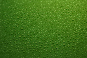 water drops on green background texture