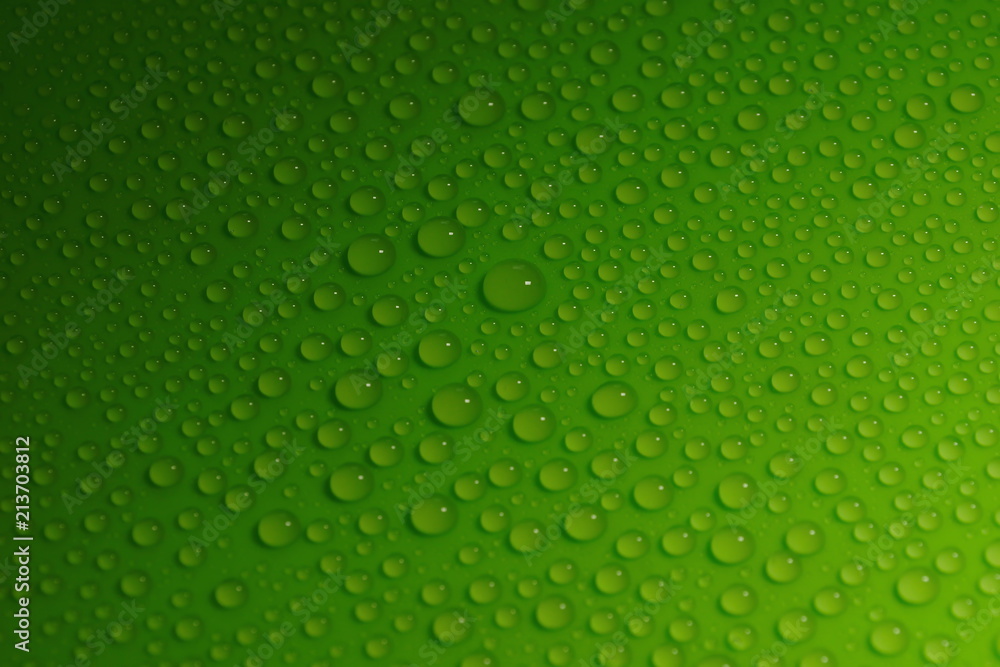 Wall mural water drops on green background texture