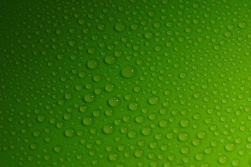 Fototapeta na wymiar water drops on green background texture