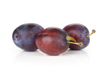 Group of three whole fresh violet-blue plum vibrant moyer variety stack isolated on white