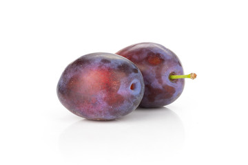 Group of two whole fresh violet-blue plum vibrant moyer variety in row isolated on white