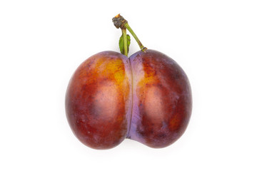 One whole fresh violet-blue plum vibrant moyer variety flatlay isolated on white