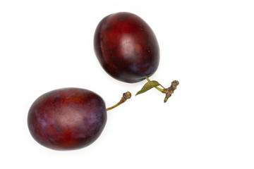 Group of two whole fresh violet-blue plum vibrant moyer variety flatlay isolated on white