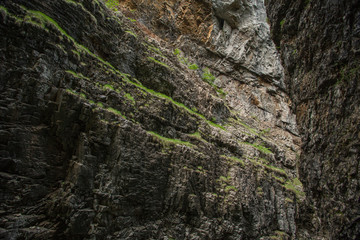 Felsen
