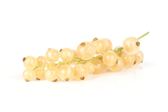 Lot of whole fresh white currant berry blanka variety one strig isolated on white