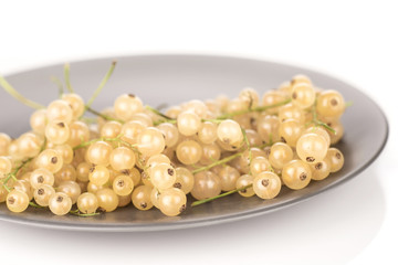 Lot of whole fresh white currant berry blanka variety on a grey ceramic plate isolated on white