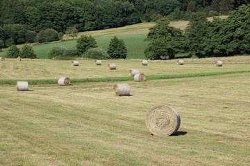 Rundballen 